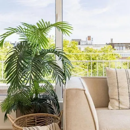 Chaleureux ランス